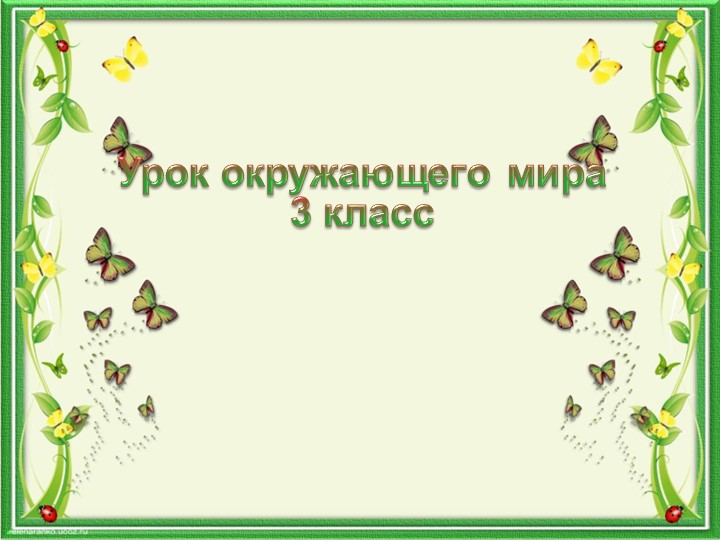 Презентация к уроку по теме "Грибы" - Скачать презентации бесплатно | Читать или скачать учебники для школы онлайн бесплатно ☑ Школьные учебники school-textbook.com