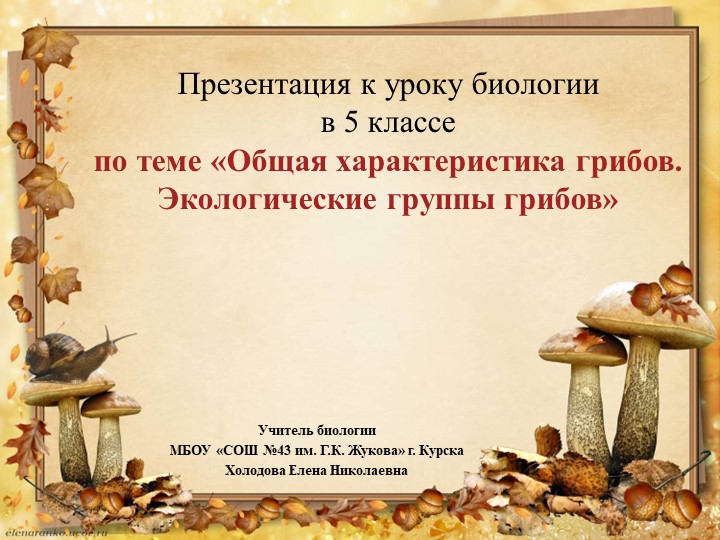Презентация "Общая характеристика грибов. Экологические группы грибов"  - Скачать презентации бесплатно | Читать или скачать учебники для школы онлайн бесплатно ☑ Школьные учебники school-textbook.com