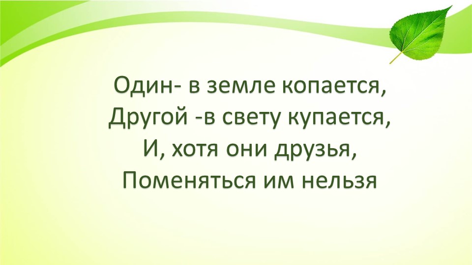 Презентация к уроку окружающий мир 2 класс "Питание растений" - Скачать презентации бесплатно | Читать или скачать учебники для школы онлайн бесплатно ☑ Школьные учебники school-textbook.com