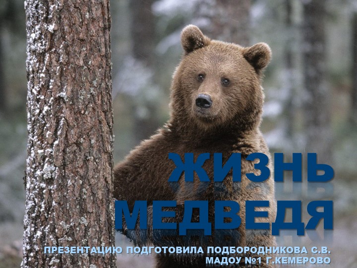 Презентация к НОД по познавательному развитию на тему "Дикие животные - Скачать презентации бесплатно | Читать или скачать учебники для школы онлайн бесплатно ☑ Школьные учебники school-textbook.com