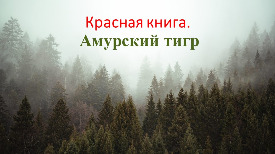 Красная книга России Амурский тигр.  - Скачать презентации бесплатно | Читать или скачать учебники для школы онлайн бесплатно ☑ Школьные учебники school-textbook.com