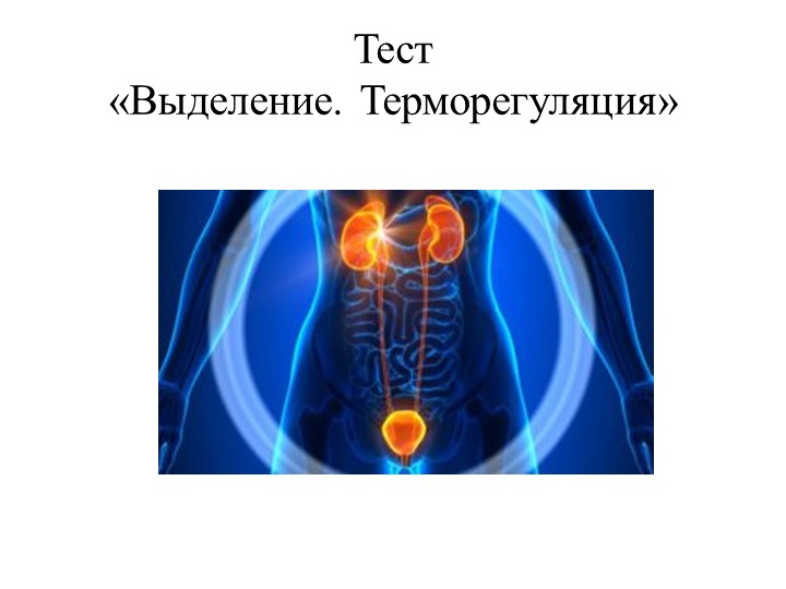 Презентация теста «Выделение. Терморегуляция» - Скачать презентации бесплатно | Читать или скачать учебники для школы онлайн бесплатно ☑ Школьные учебники school-textbook.com