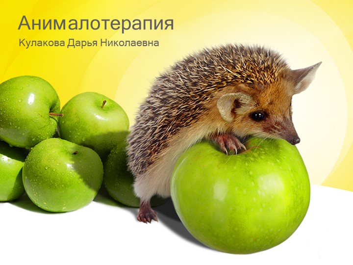 Анималотерапия. Нестандартные методы реабилитации ребенка с ОВЗ. - Скачать презентации бесплатно | Читать или скачать учебники для школы онлайн бесплатно ☑ Школьные учебники school-textbook.com