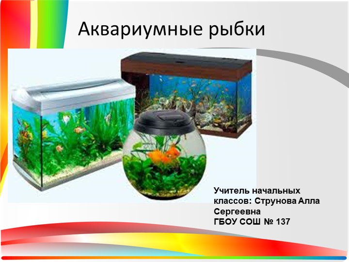Презентация по технологии " Аквариумные рыбки" - Скачать презентации бесплатно | Читать или скачать учебники для школы онлайн бесплатно ☑ Школьные учебники school-textbook.com