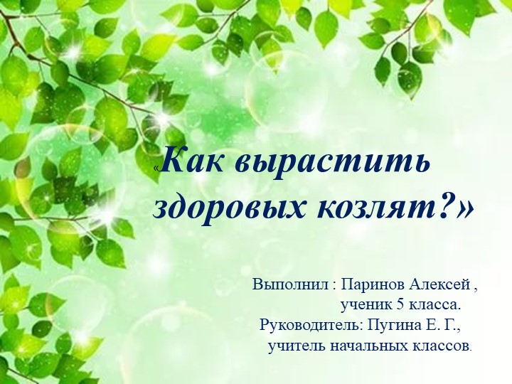 Презентация .Исследовательская работа "Как вырастить здоровое потомство козлят?" - Скачать презентации бесплатно | Читать или скачать учебники для школы онлайн бесплатно ☑ Школьные учебники school-textbook.com