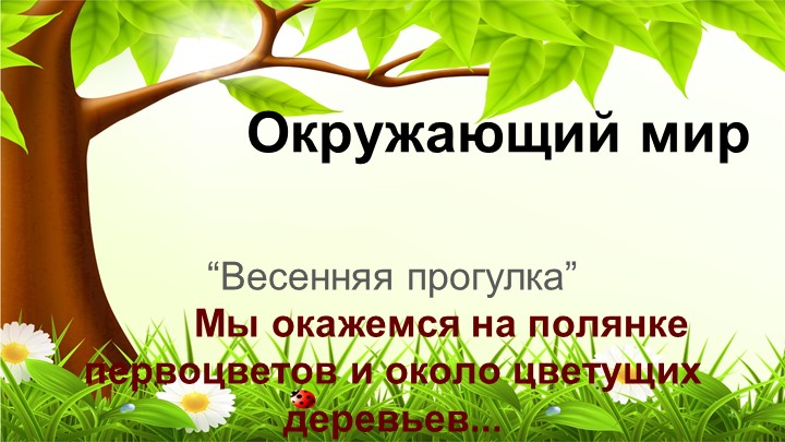 Презентация к уроку Окружающего мира "Весенняя прогулка" - Скачать презентации бесплатно | Читать или скачать учебники для школы онлайн бесплатно ☑ Школьные учебники school-textbook.com
