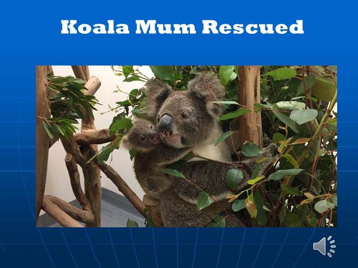 Презентация по английскому языку на тему :"Media jobs"  - Скачать презентации бесплатно | Читать или скачать учебники для школы онлайн бесплатно ☑ Школьные учебники school-textbook.com