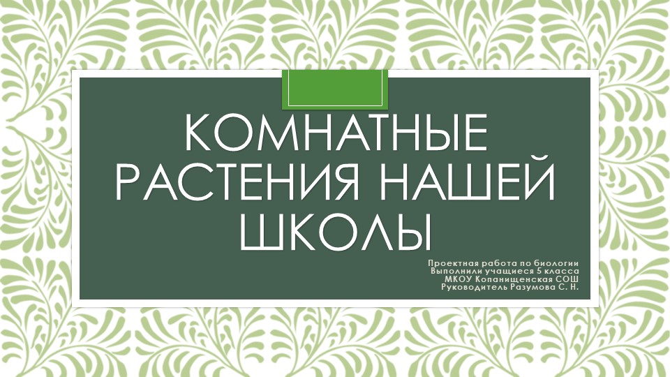 Презентация по биологии "Комнатные растения нашей школы" - Скачать презентации бесплатно | Читать или скачать учебники для школы онлайн бесплатно ☑ Школьные учебники school-textbook.com