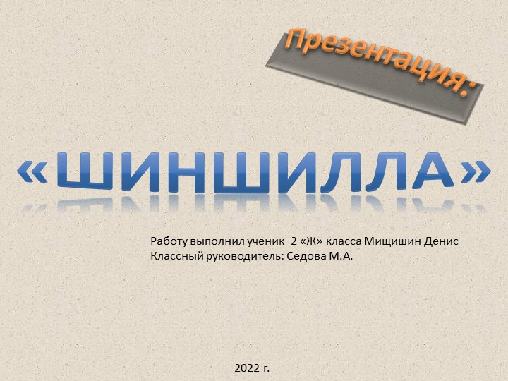 Презентация на тему "Шиншилла". - Скачать презентации бесплатно | Читать или скачать учебники для школы онлайн бесплатно ☑ Школьные учебники school-textbook.com