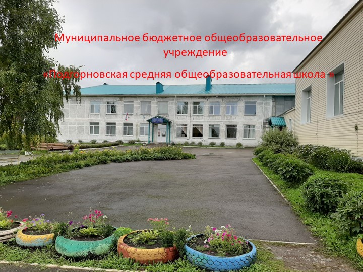 Презентация на тему "Цветник МБОУ Подгорновская СОШ" - Скачать презентации бесплатно | Читать или скачать учебники для школы онлайн бесплатно ☑ Школьные учебники school-textbook.com
