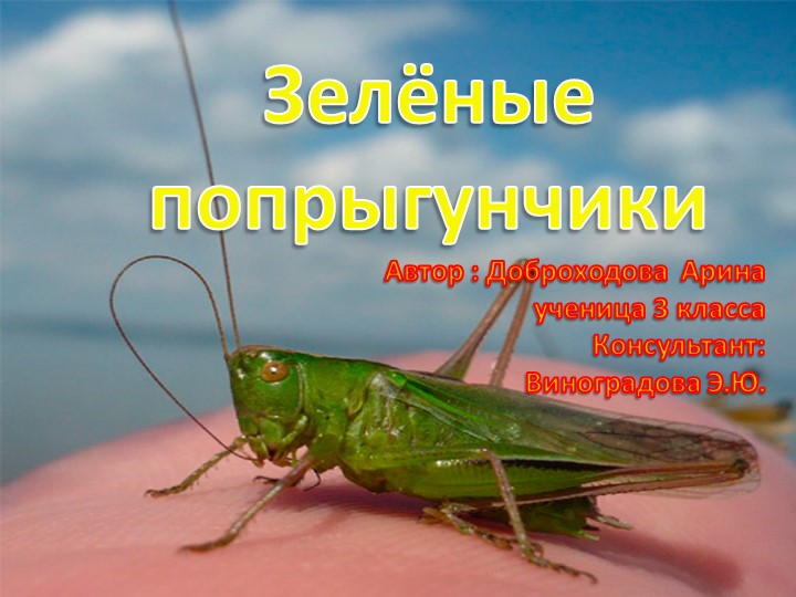 Исследовательская работа "Зелёные попрыгунчики" - Скачать презентации бесплатно | Читать или скачать учебники для школы онлайн бесплатно ☑ Школьные учебники school-textbook.com