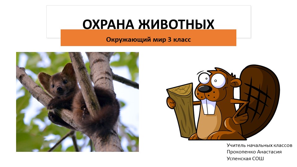 Презентация по предмету окружающий мир на тему "Охрана животных" (3класс) - Скачать презентации бесплатно | Читать или скачать учебники для школы онлайн бесплатно ☑ Школьные учебники school-textbook.com