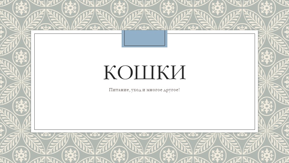Презентация по окружающему миру "Кошки" - Скачать презентации бесплатно | Читать или скачать учебники для школы онлайн бесплатно ☑ Школьные учебники school-textbook.com