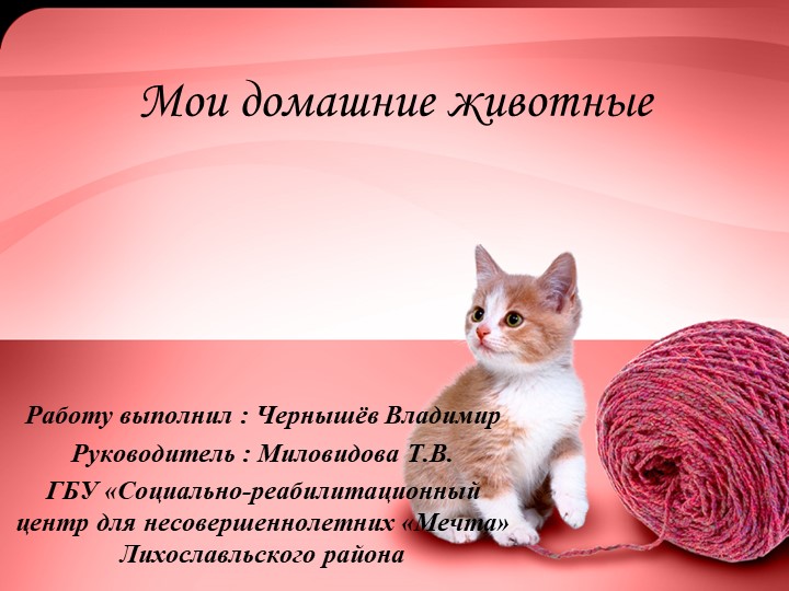 Презентация на тему "Мои домашние животные" - Скачать презентации бесплатно | Читать или скачать учебники для школы онлайн бесплатно ☑ Школьные учебники school-textbook.com