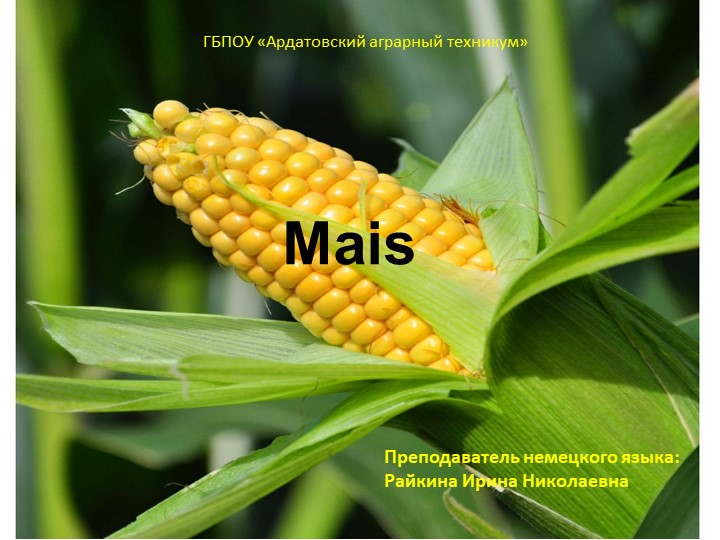 Презентация "Возделывание кукурузы" (СПО) - Скачать презентации бесплатно | Читать или скачать учебники для школы онлайн бесплатно ☑ Школьные учебники school-textbook.com