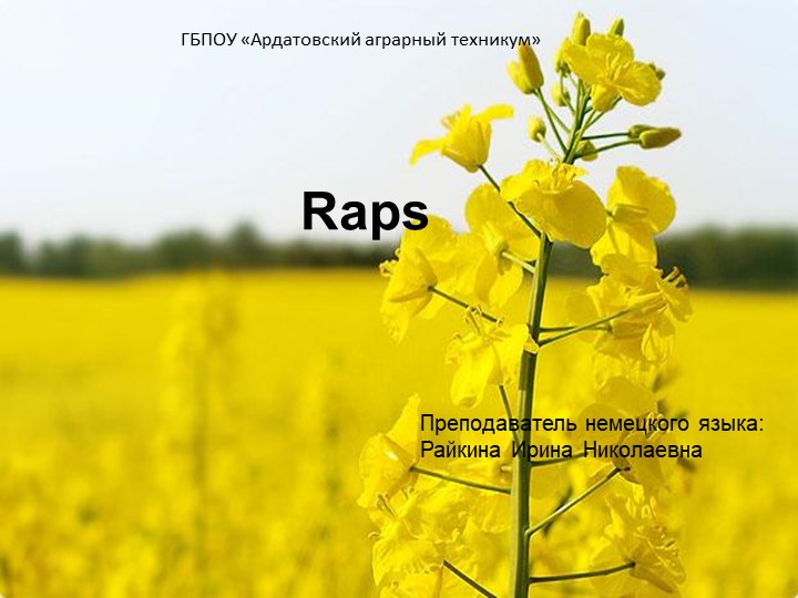 Презентация "Возделывание рапса" (СПО) - Скачать презентации бесплатно | Читать или скачать учебники для школы онлайн бесплатно ☑ Школьные учебники school-textbook.com