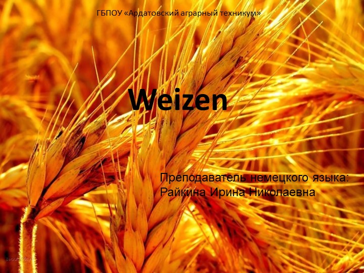 Презентация "Возделывание пшеницы" (СПО) - Скачать презентации бесплатно | Читать или скачать учебники для школы онлайн бесплатно ☑ Школьные учебники school-textbook.com