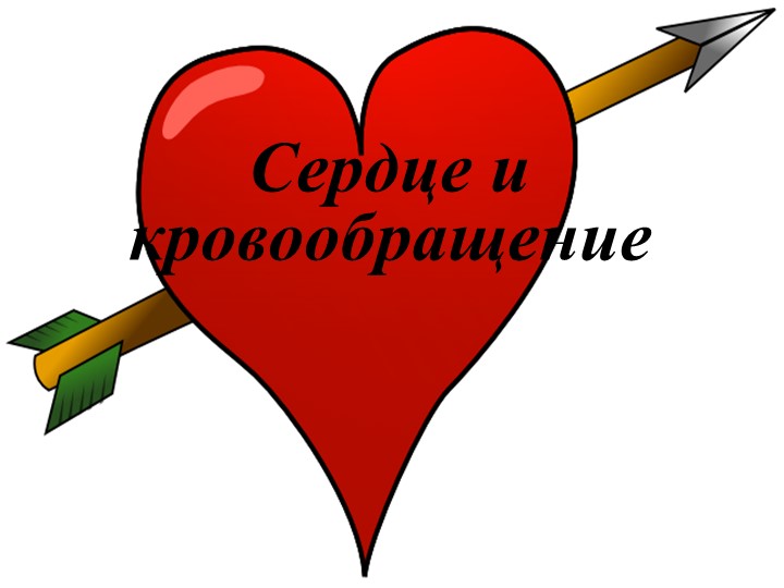 Презентация "Сердце и кровообращение" - Скачать презентации бесплатно | Читать или скачать учебники для школы онлайн бесплатно ☑ Школьные учебники school-textbook.com