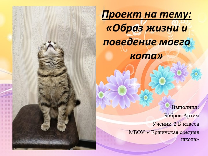 Презентация "Образ жизни и поведение моего кота" 2Б класс - Скачать презентации бесплатно | Читать или скачать учебники для школы онлайн бесплатно ☑ Школьные учебники school-textbook.com