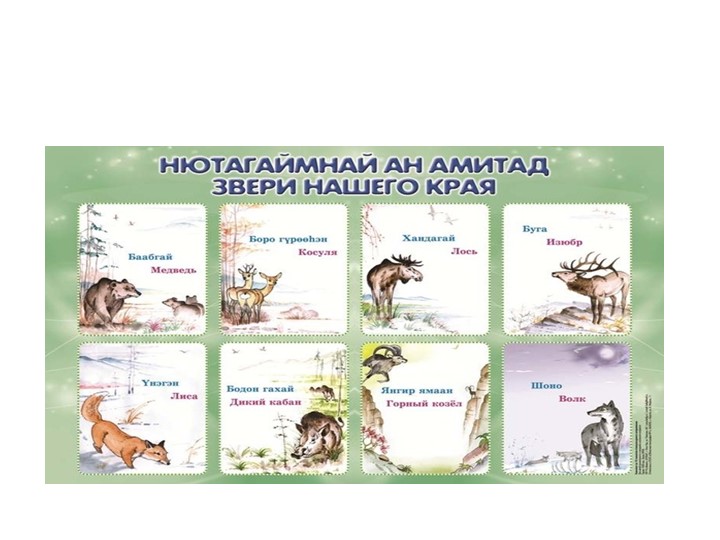 Презентация по бурятской литературе "Звери"  - Скачать презентации бесплатно | Читать или скачать учебники для школы онлайн бесплатно ☑ Школьные учебники school-textbook.com