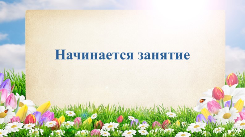 Презентация по теме: "Птицы России. Скворец".  - Скачать презентации бесплатно | Читать или скачать учебники для школы онлайн бесплатно ☑ Школьные учебники school-textbook.com