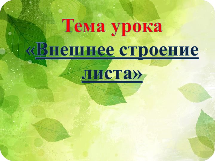 Презентация "Внешнее строение листа"  - Скачать презентации бесплатно | Читать или скачать учебники для школы онлайн бесплатно ☑ Школьные учебники school-textbook.com