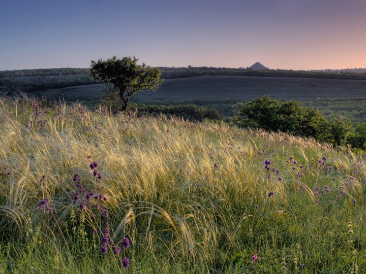 Презентация к занятию Донбасс наш край родной  - Скачать презентации бесплатно | Читать или скачать учебники для школы онлайн бесплатно ☑ Школьные учебники school-textbook.com