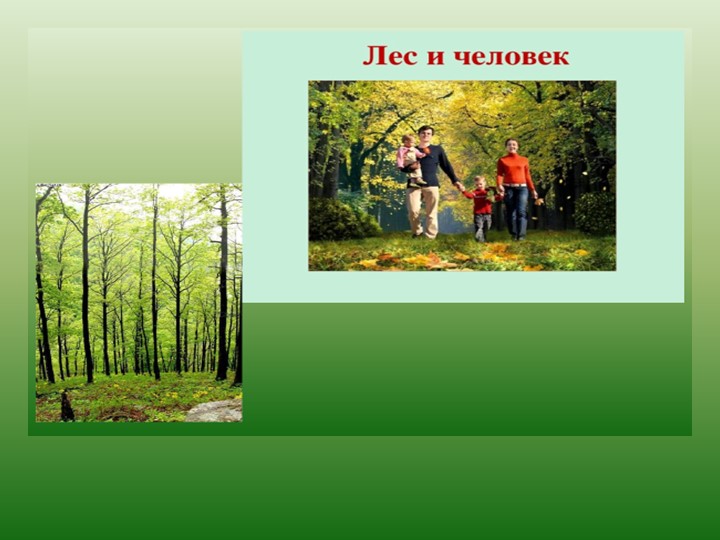 Презентация по окружающему миру "Лес в жизни человека"  - Скачать презентации бесплатно | Читать или скачать учебники для школы онлайн бесплатно ☑ Школьные учебники school-textbook.com