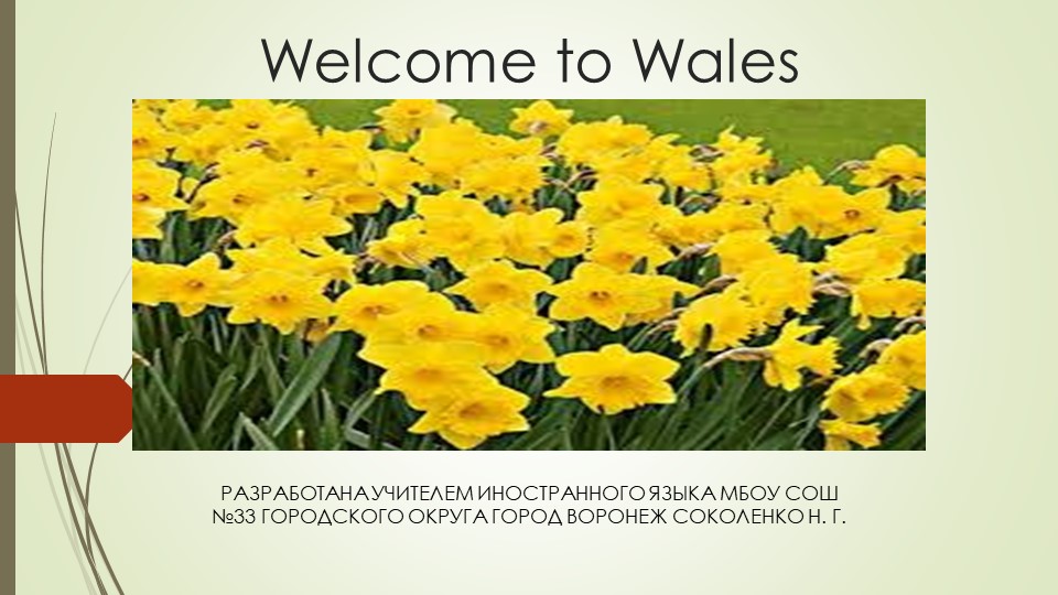 Презентация на тему "Добро пожаловать в Уэльс" - Скачать презентации бесплатно | Читать или скачать учебники для школы онлайн бесплатно ☑ Школьные учебники school-textbook.com
