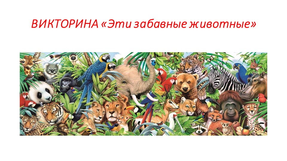 Урок. Интеллектуальная игра "В мире животных"  - Скачать презентации бесплатно | Читать или скачать учебники для школы онлайн бесплатно ☑ Школьные учебники school-textbook.com