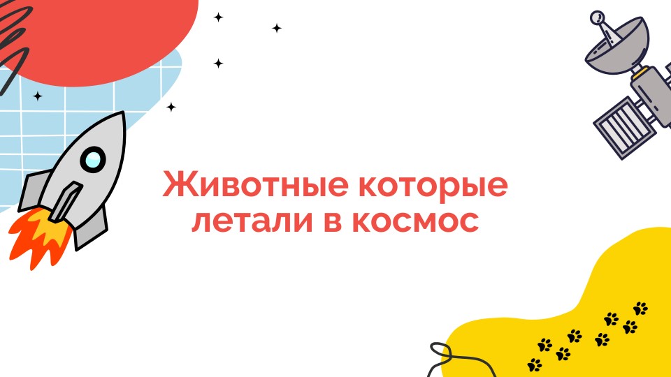 Презентация "Животные в космосе"  - Скачать презентации бесплатно | Читать или скачать учебники для школы онлайн бесплатно ☑ Школьные учебники school-textbook.com