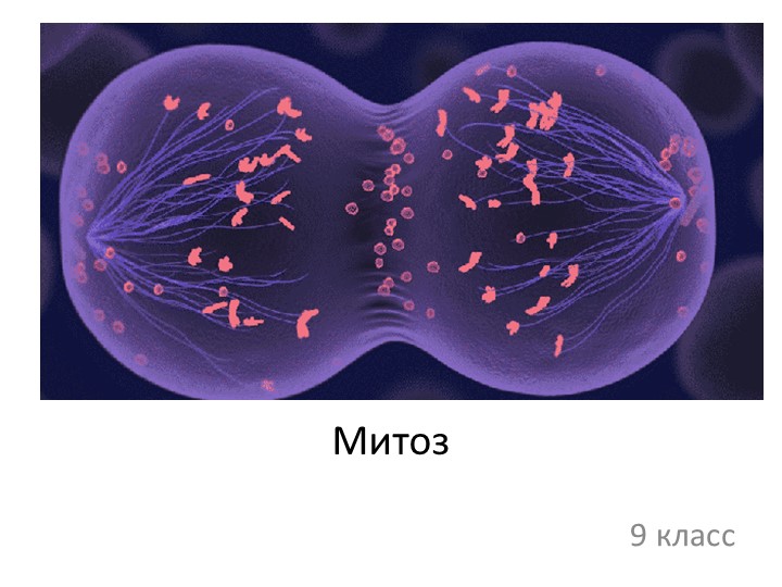 Презентационный урок по биологии  - Скачать презентации бесплатно | Читать или скачать учебники для школы онлайн бесплатно ☑ Школьные учебники school-textbook.com