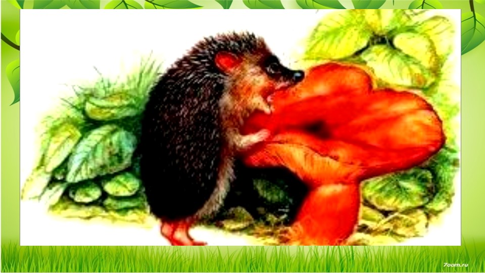 Презентация к уроку "Цепи питания" (окружающий мир) - Скачать презентации бесплатно | Читать или скачать учебники для школы онлайн бесплатно ☑ Школьные учебники school-textbook.com