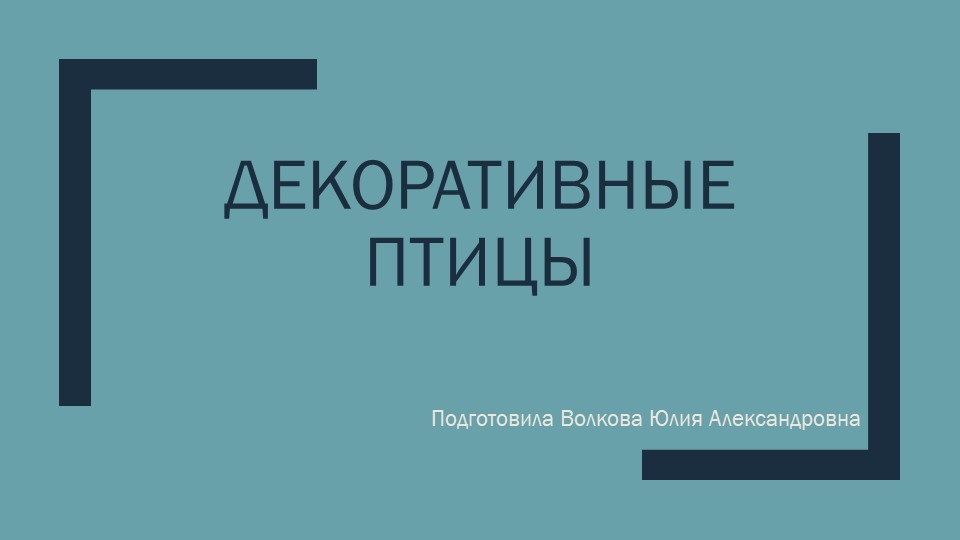 Презентация на тему "Декоративные птицы" - Скачать презентации бесплатно | Читать или скачать учебники для школы онлайн бесплатно ☑ Школьные учебники school-textbook.com