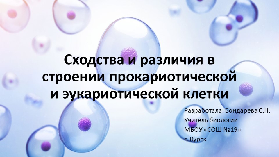 Презентация: "Сходства и различия клеток прокариот и эукариот  - Скачать презентации бесплатно | Читать или скачать учебники для школы онлайн бесплатно ☑ Школьные учебники school-textbook.com