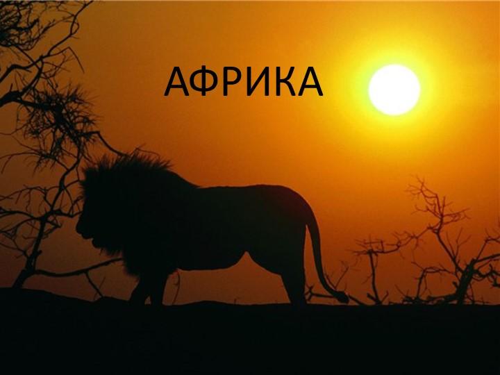 Презентация по географии на тему "Африка"  - Скачать презентации бесплатно | Читать или скачать учебники для школы онлайн бесплатно ☑ Школьные учебники school-textbook.com