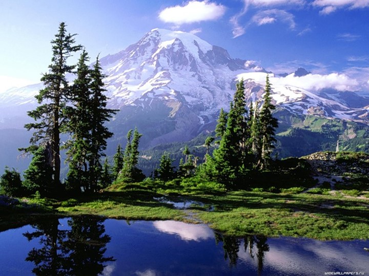 Презентация по географии на тему "Вода на Земле."(5 класс) - Скачать презентации бесплатно | Читать или скачать учебники для школы онлайн бесплатно ☑ Школьные учебники school-textbook.com