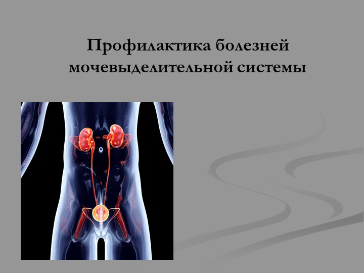 Урок презентация на тему "Профилактика болезней мочевыделительной системы" - Скачать презентации бесплатно | Читать или скачать учебники для школы онлайн бесплатно ☑ Школьные учебники school-textbook.com