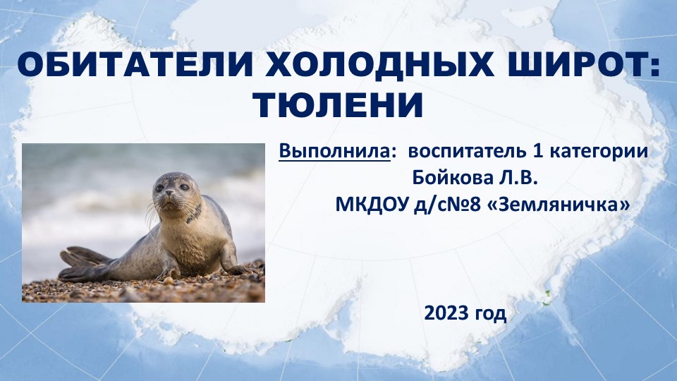 Презентация по познавательному развитию на тему "Обитатели холодных широт - Тюлени"  - Скачать презентации бесплатно | Читать или скачать учебники для школы онлайн бесплатно ☑ Школьные учебники school-textbook.com