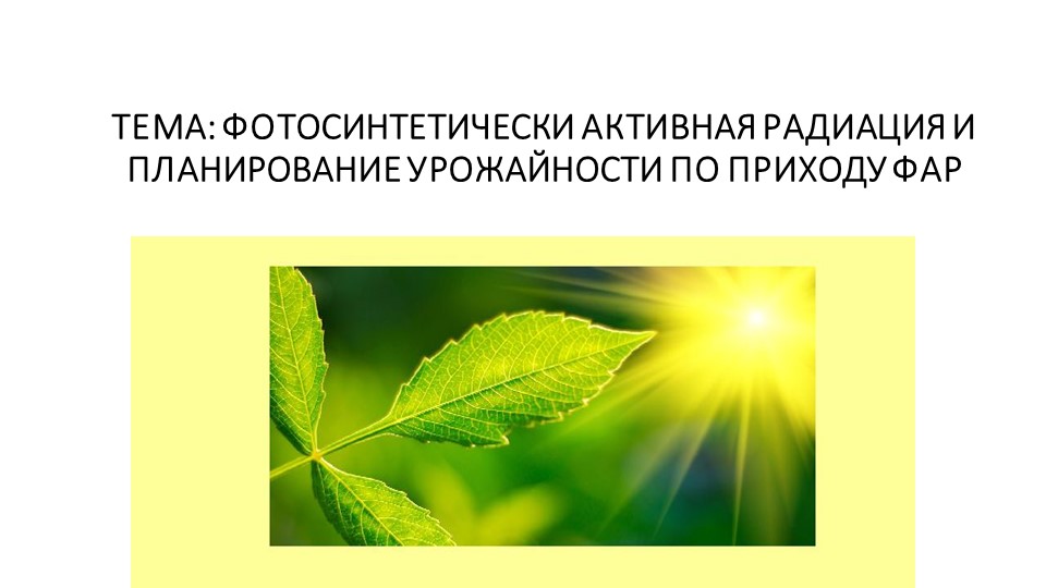 Презентация "Фотосинтетически активная радиация" - Скачать презентации бесплатно | Читать или скачать учебники для школы онлайн бесплатно ☑ Школьные учебники school-textbook.com