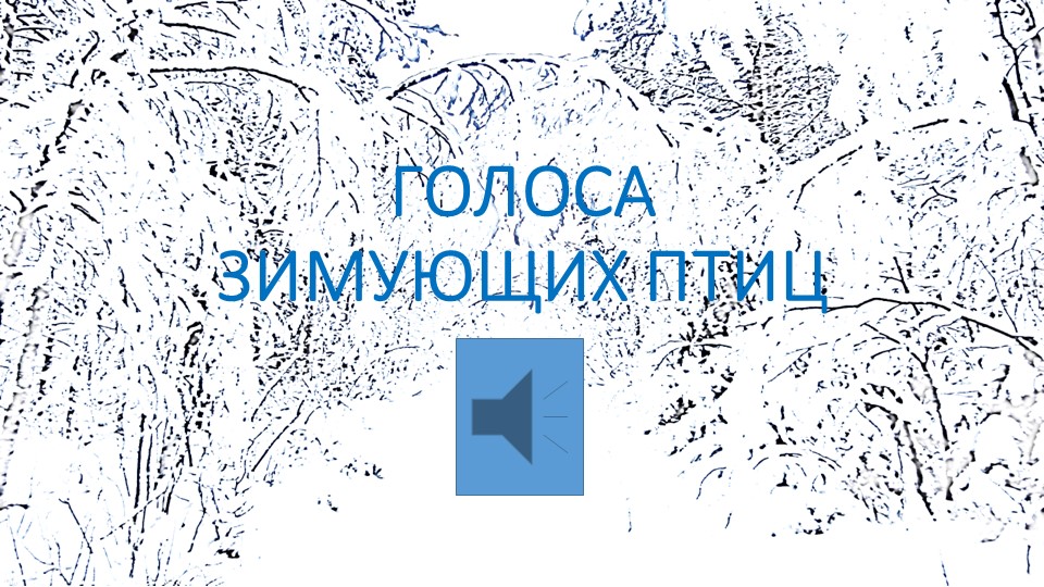 Презентация по экологии "Голоса зимующих птиц" - Скачать презентации бесплатно | Читать или скачать учебники для школы онлайн бесплатно ☑ Школьные учебники school-textbook.com