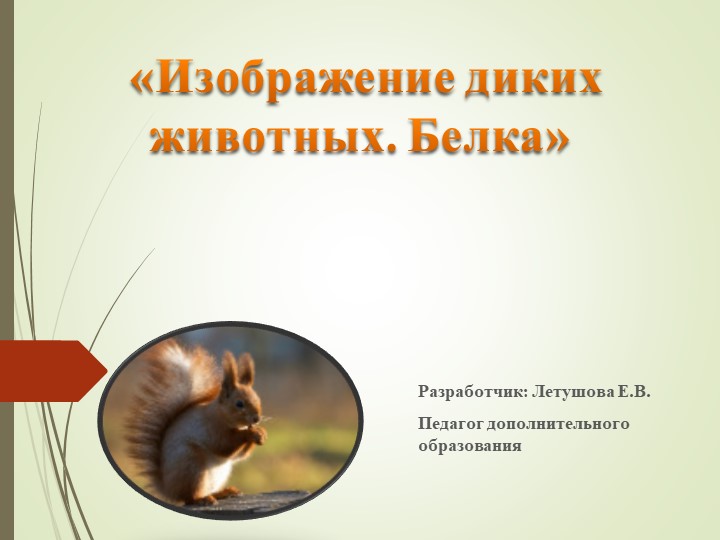 Презентация на тему: "Изображение диких животных. Белка"  - Скачать презентации бесплатно | Читать или скачать учебники для школы онлайн бесплатно ☑ Школьные учебники school-textbook.com