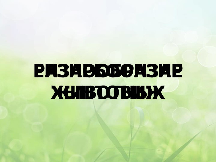 Презентация к уроку окружающего мира в 3 классе на тему «Разнообразие животных»  - Скачать презентации бесплатно | Читать или скачать учебники для школы онлайн бесплатно ☑ Школьные учебники school-textbook.com