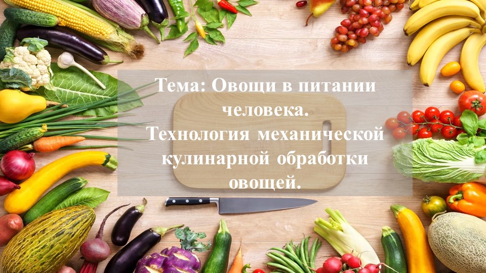 Урок технологии на тему "Нарезка овощей" - Скачать презентации бесплатно | Читать или скачать учебники для школы онлайн бесплатно ☑ Школьные учебники school-textbook.com