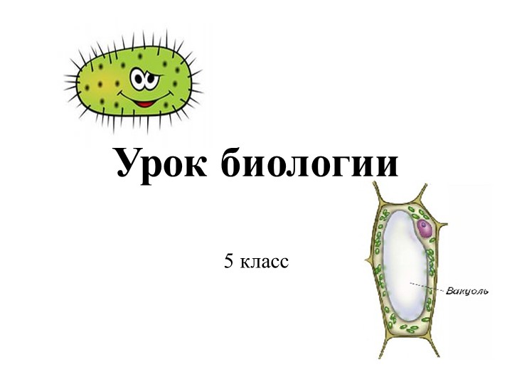 Презентация по биологии "Бактерии" 5 класс - Скачать презентации бесплатно | Читать или скачать учебники для школы онлайн бесплатно ☑ Школьные учебники school-textbook.com