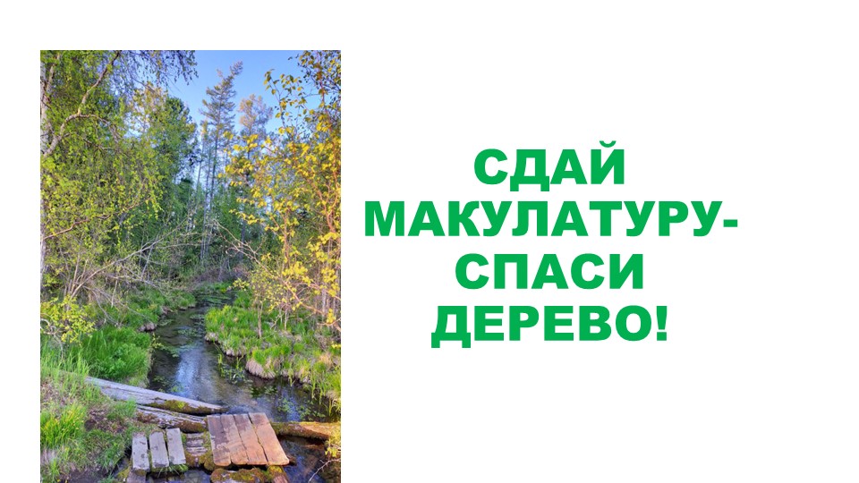 Презентация " Сдай макулатуру- спаси дерево" - Скачать презентации бесплатно | Читать или скачать учебники для школы онлайн бесплатно ☑ Школьные учебники school-textbook.com