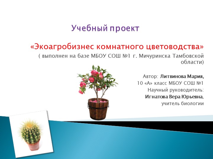 Учебный проект по биологии "Экоагробизнес комнатного цветоводства" - Скачать презентации бесплатно | Читать или скачать учебники для школы онлайн бесплатно ☑ Школьные учебники school-textbook.com