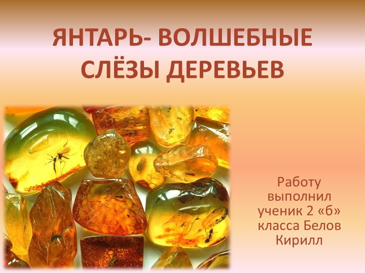 Презентация "Янтарь-волшебнве слёзы деревьев"  - Скачать презентации бесплатно | Читать или скачать учебники для школы онлайн бесплатно ☑ Школьные учебники school-textbook.com
