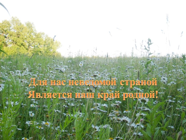 Презентация "Природа родного края" - Скачать презентации бесплатно | Читать или скачать учебники для школы онлайн бесплатно ☑ Школьные учебники school-textbook.com