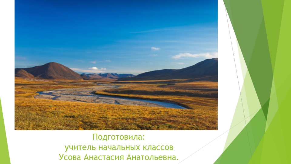 Презентация Растительный и животный мир тундры. - Скачать презентации бесплатно | Читать или скачать учебники для школы онлайн бесплатно ☑ Школьные учебники school-textbook.com